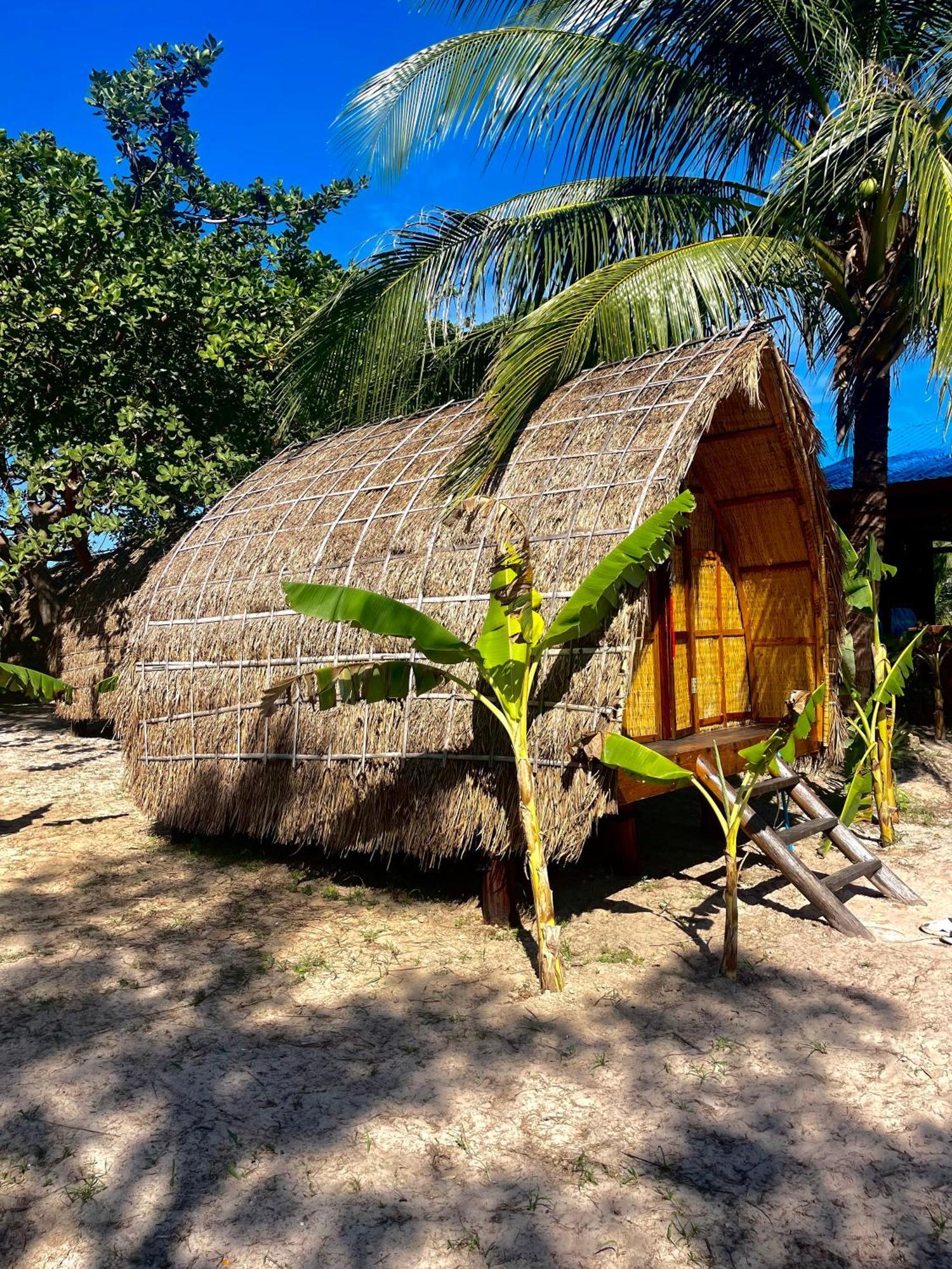 Derm Tkov Village Rafikis Retreatホステル エクステリア 写真